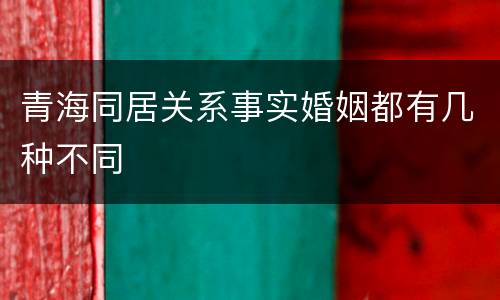 青海同居关系事实婚姻都有几种不同