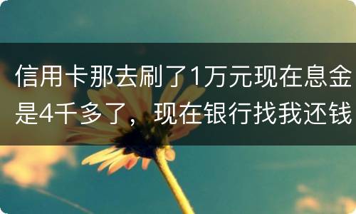 信用卡那去刷了1万元现在息金是4千多了，现在银行找我还钱，要怎样能够诉讼他，