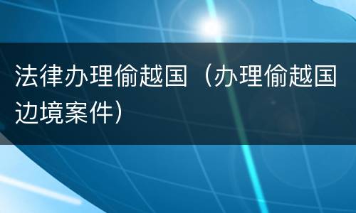 法律办理偷越国（办理偷越国边境案件）