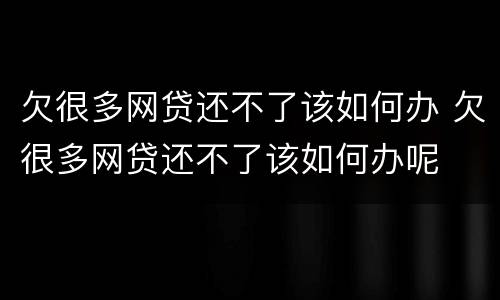 欠很多网贷还不了该如何办 欠很多网贷还不了该如何办呢