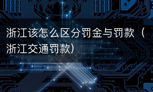 浙江该怎么区分罚金与罚款（浙江交通罚款）