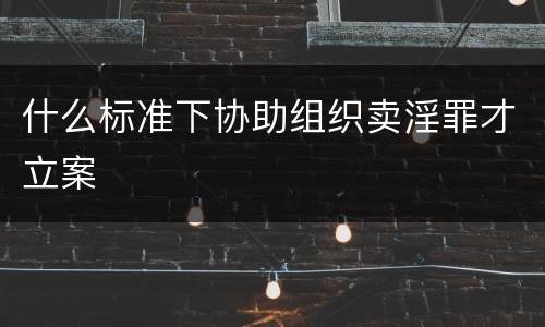 什么标准下协助组织卖淫罪才立案