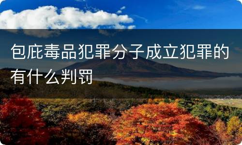 包庇毒品犯罪分子成立犯罪的有什么判罚