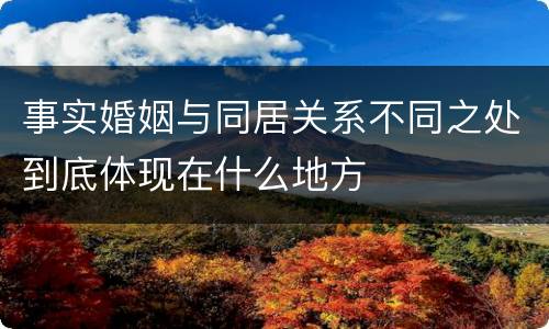 事实婚姻与同居关系不同之处到底体现在什么地方