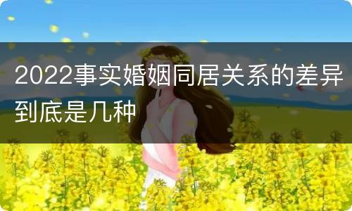 2022事实婚姻同居关系的差异到底是几种