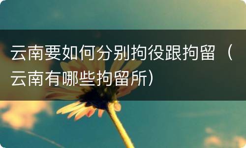云南要如何分别拘役跟拘留（云南有哪些拘留所）