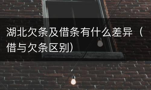 湖北欠条及借条有什么差异（借与欠条区别）