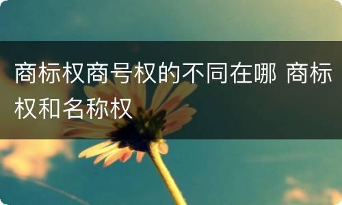 商标权商号权的不同在哪 商标权和名称权