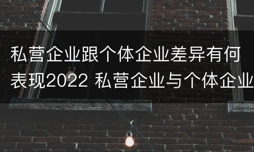 私营企业跟个体企业差异有何表现2022 私营企业与个体企业