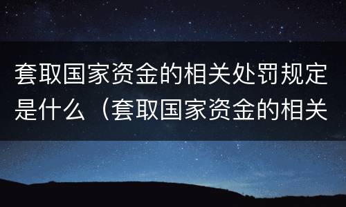 套取国家资金的相关处罚规定是什么（套取国家资金的相关处罚规定是什么）