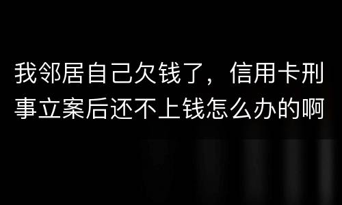 我邻居自己欠钱了，信用卡刑事立案后还不上钱怎么办的啊