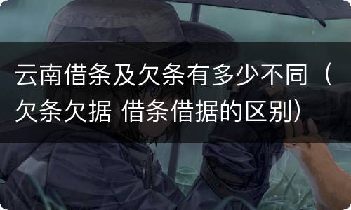 云南借条及欠条有多少不同（欠条欠据 借条借据的区别）