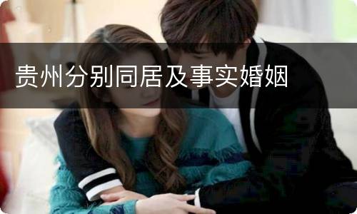 贵州分别同居及事实婚姻