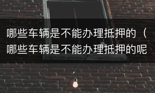 哪些车辆是不能办理抵押的（哪些车辆是不能办理抵押的呢）