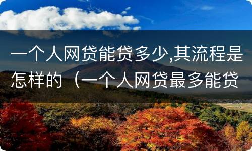 一个人网贷能贷多少,其流程是怎样的（一个人网贷最多能贷多少）