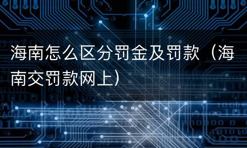 海南怎么区分罚金及罚款（海南交罚款网上）