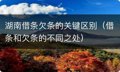 湖南借条欠条的关键区别（借条和欠条的不同之处）
