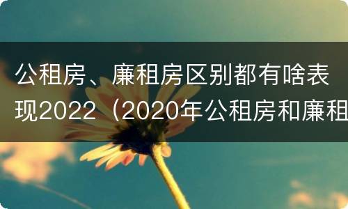 公租房、廉租房区别都有啥表现2022（2020年公租房和廉租房的区别）