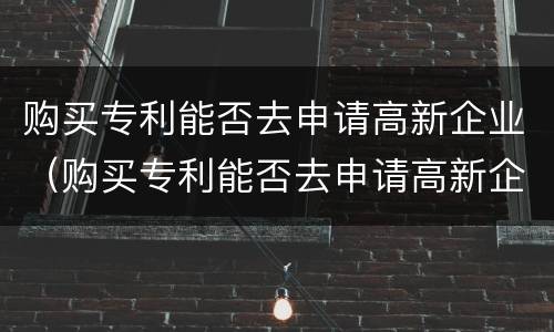 购买专利能否去申请高新企业（购买专利能否去申请高新企业认定）