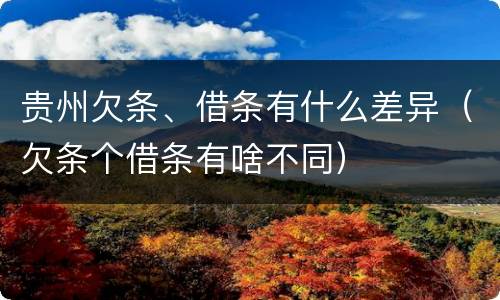 贵州欠条、借条有什么差异（欠条个借条有啥不同）