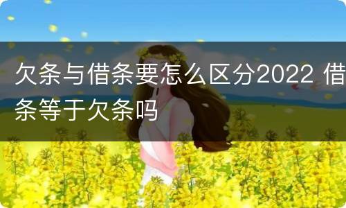 欠条与借条要怎么区分2022 借条等于欠条吗
