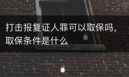 打击报复证人罪可以取保吗，取保条件是什么