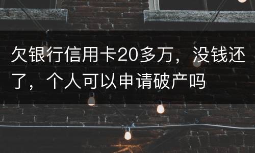 欠银行信用卡20多万，没钱还了，个人可以申请破产吗
