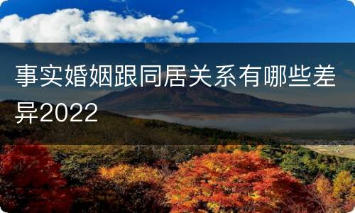 事实婚姻跟同居关系有哪些差异2022