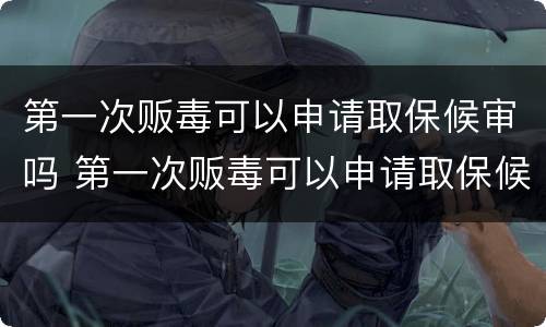第一次贩毒可以申请取保候审吗 第一次贩毒可以申请取保候审吗