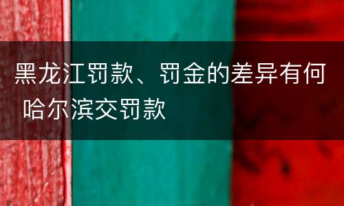 黑龙江罚款、罚金的差异有何 哈尔滨交罚款