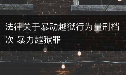 法律关于暴动越狱行为量刑档次 暴力越狱罪