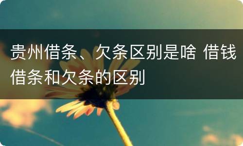 贵州借条、欠条区别是啥 借钱借条和欠条的区别