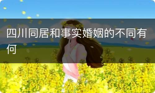 四川同居和事实婚姻的不同有何
