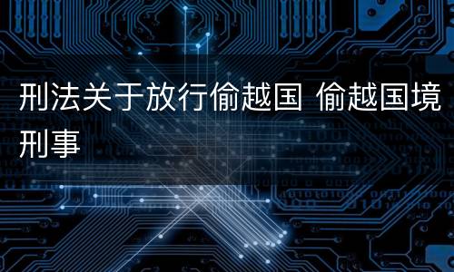 刑法关于放行偷越国 偷越国境刑事