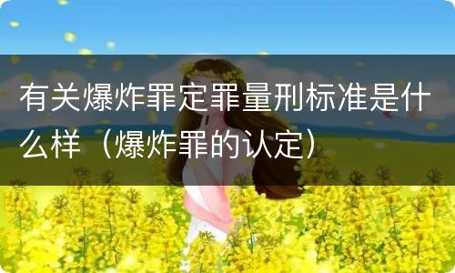 有关爆炸罪定罪量刑标准是什么样（爆炸罪的认定）