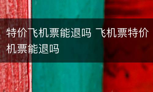 特价飞机票能退吗 飞机票特价机票能退吗