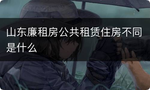山东廉租房公共租赁住房不同是什么
