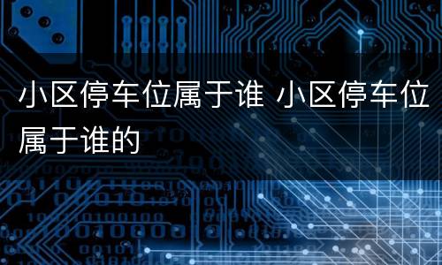 小区停车位属于谁 小区停车位属于谁的