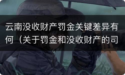 云南没收财产罚金关键差异有何（关于罚金和没收财产的司法解释）