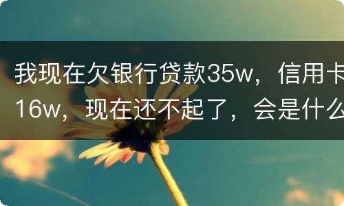 我现在欠银行贷款35w，信用卡16w，现在还不起了，会是什么后果