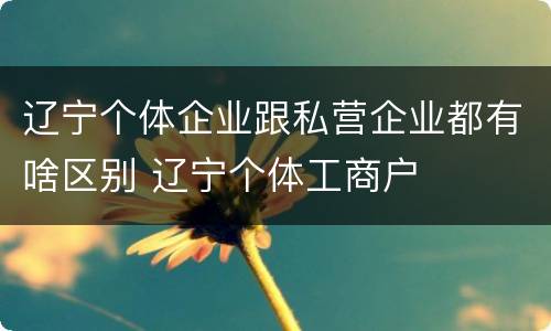 辽宁个体企业跟私营企业都有啥区别 辽宁个体工商户