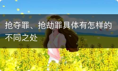 抢夺罪、抢劫罪具体有怎样的不同之处