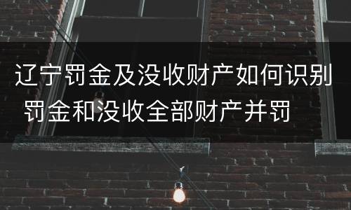 辽宁罚金及没收财产如何识别 罚金和没收全部财产并罚