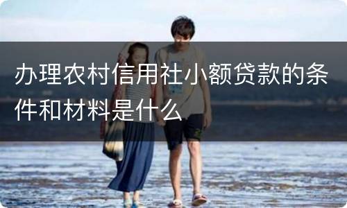 办理农村信用社小额贷款的条件和材料是什么