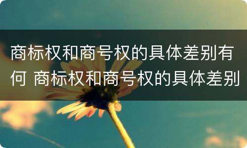 商标权和商号权的具体差别有何 商标权和商号权的具体差别有何不同