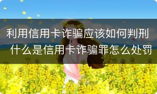 利用信用卡诈骗应该如何判刑 什么是信用卡诈骗罪怎么处罚