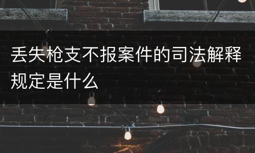 丢失枪支不报案件的司法解释规定是什么