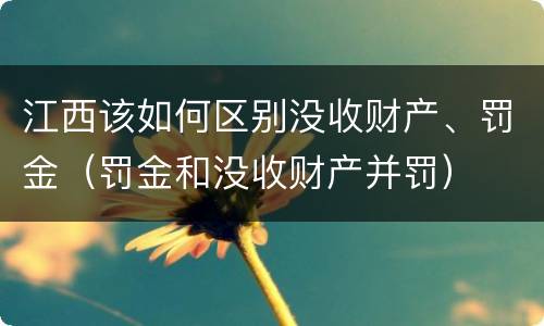 江西该如何区别没收财产、罚金（罚金和没收财产并罚）