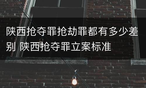 陕西抢夺罪抢劫罪都有多少差别 陕西抢夺罪立案标准