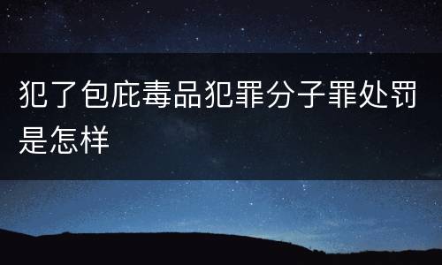 犯了包庇毒品犯罪分子罪处罚是怎样